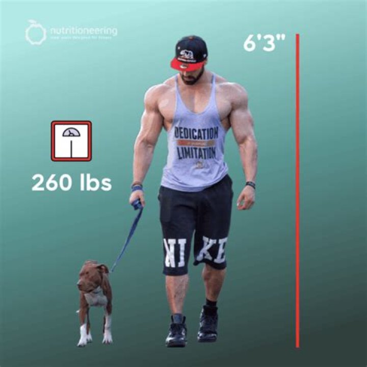 Bradley Martyn Height, Weight, Body Measurements, Shoe Size