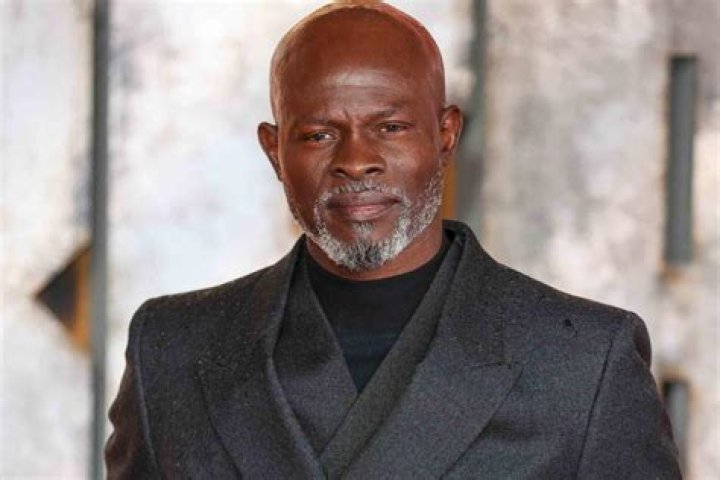 Djimon Hounsou Net Worth: Details About House, Income, Movie, Career - SarkariResult
