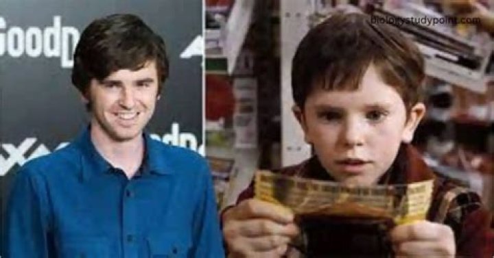 Freddie Highmore Net Worth: Details About Movie, Career, Age, Gf, Income - SarkariResult
