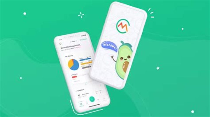 If you're facing issues with the Carb Manager app not working, how can you troubleshoot and resolve the problem? - SarkariResult