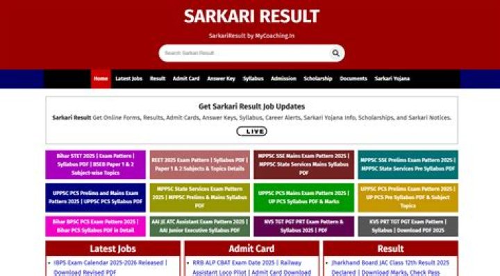The Driving Factors Behind Bill Nelson's Success at NASA - SarkariResult